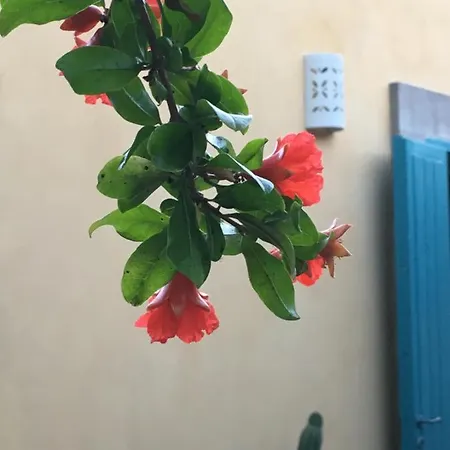 Masseria Lu Iundulu Lecce Esterno foto