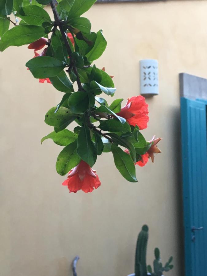 Masseria Lu Iundulu * Lecce